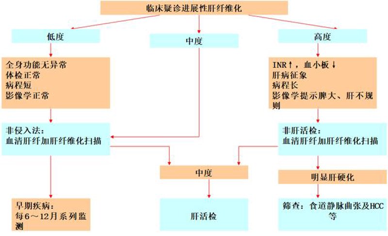 四川华西肝病研究院：守护健康的前沿阵地